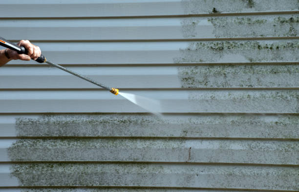 Best Local Pressure Washing Services  in Freeburg, IL