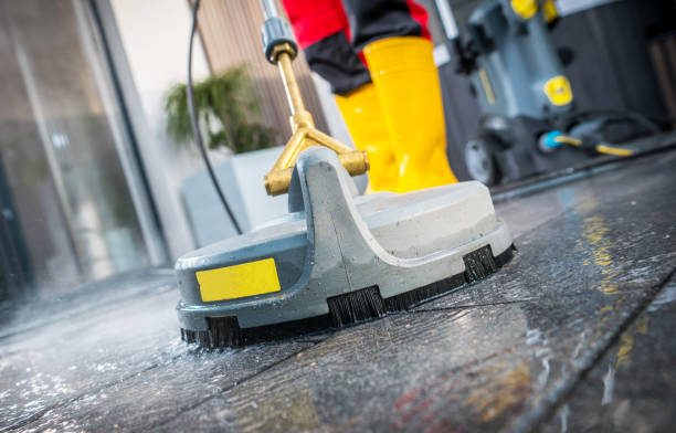 Best Roof Pressure Washing  in Freeburg, IL