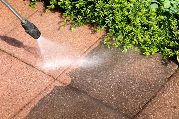 Best Roof Power Washing Services  in Freeburg, IL
